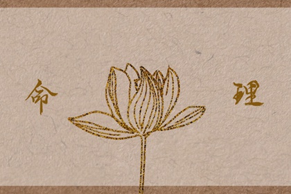 择吉黄历,黄历择吉,择吉日查询